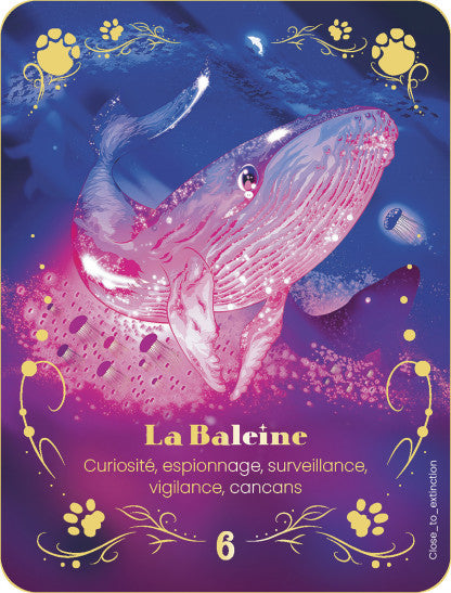 L'Oracle de Conscience Animale